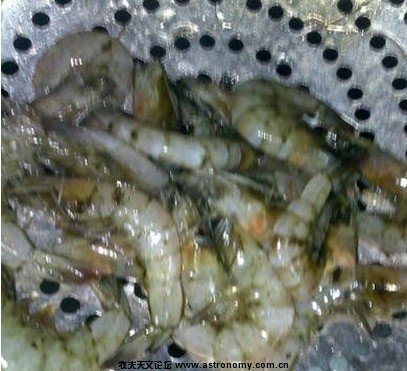 海鲜点的活虾，在前面看见的是活的，到厨房就被换成死虾了。.jpg