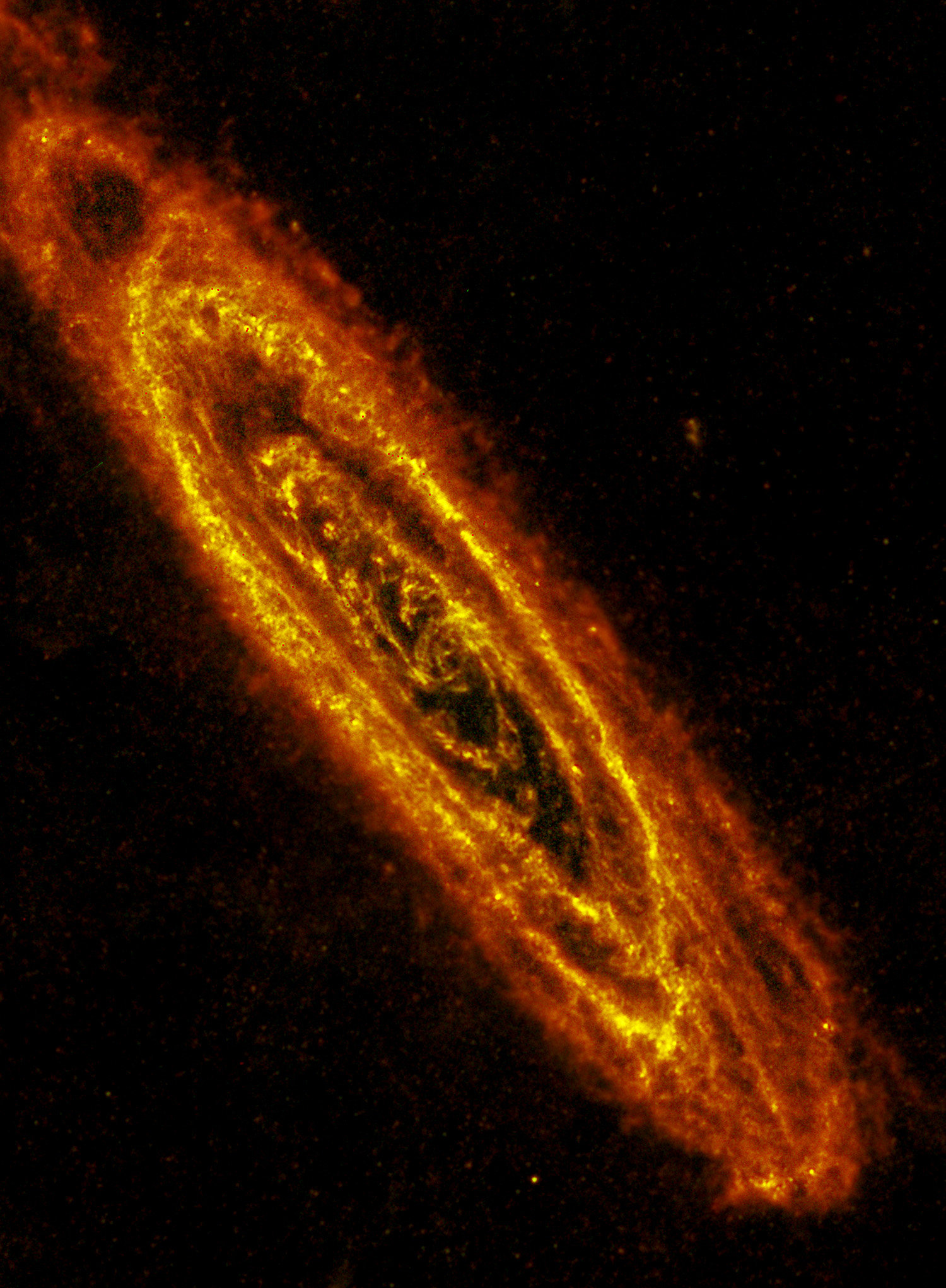 M31_HERSCHEL.jpg