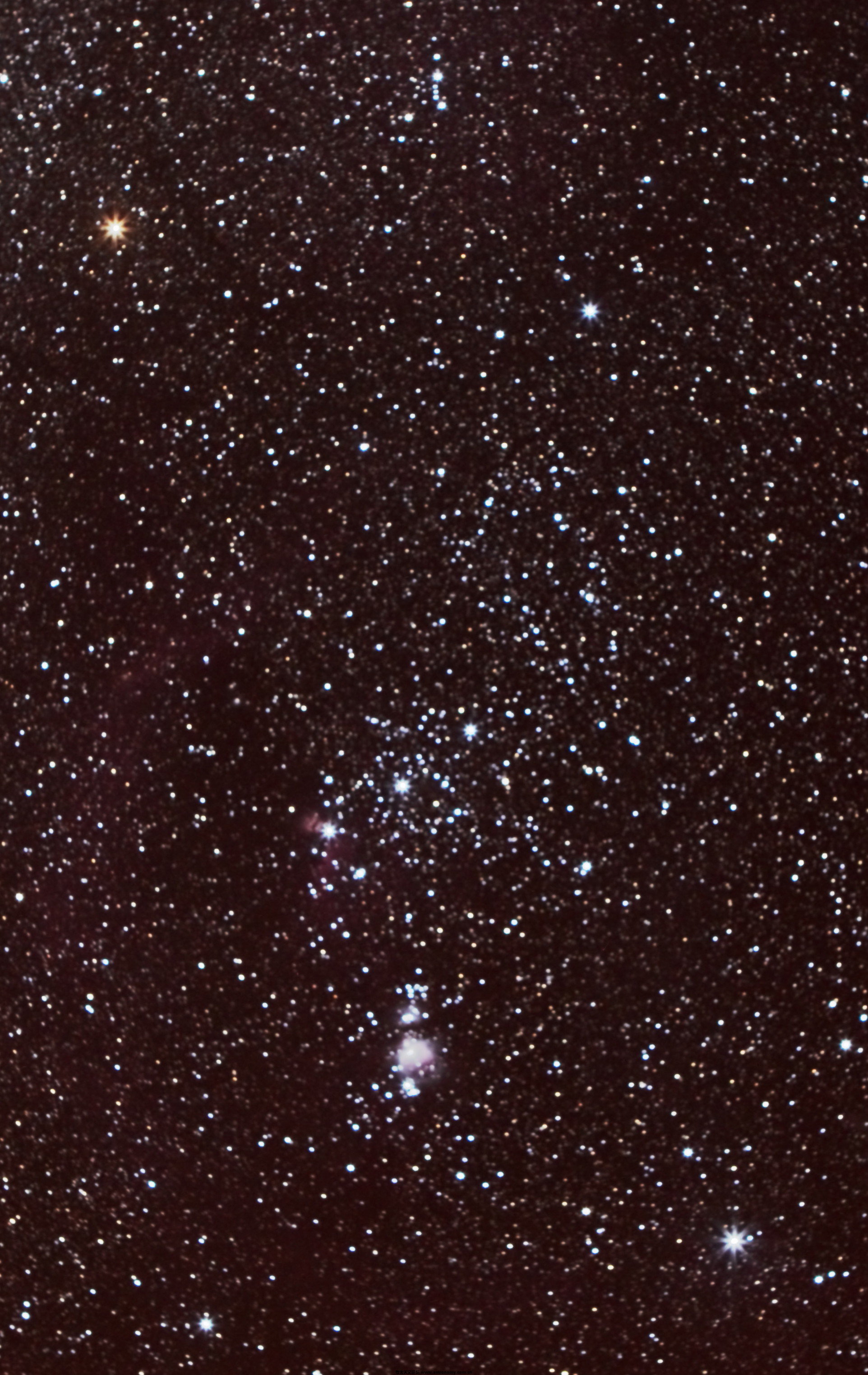 ORION.550D.24-70L.360SX8dc.jpg
