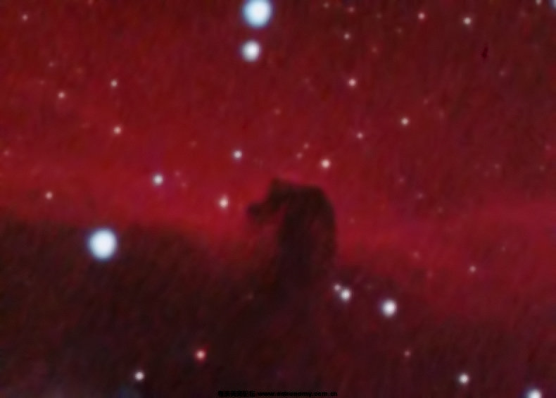 horsehead－PS.jpg