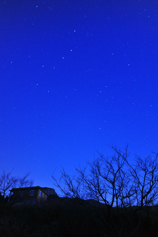DSC_3832-A.jpg