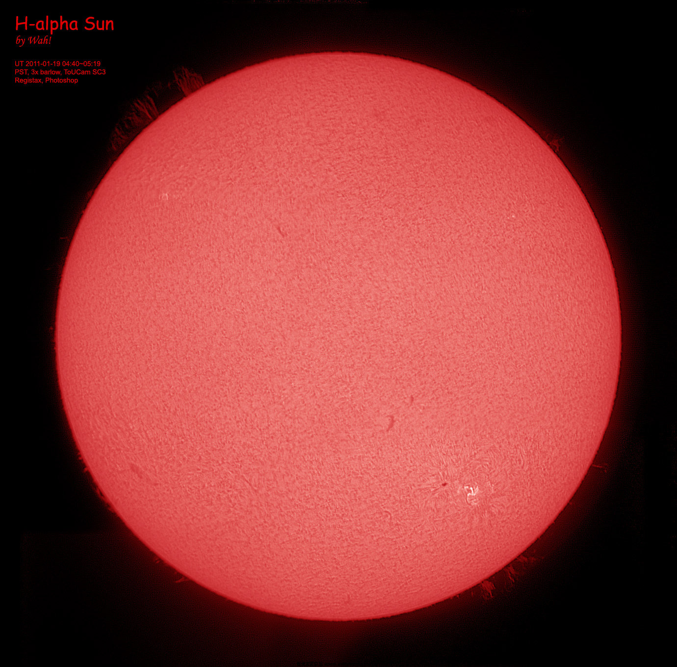 20110119_pstsun_376.jpg