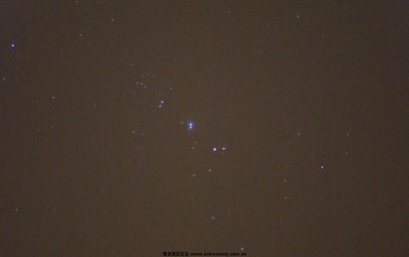 小兰M42