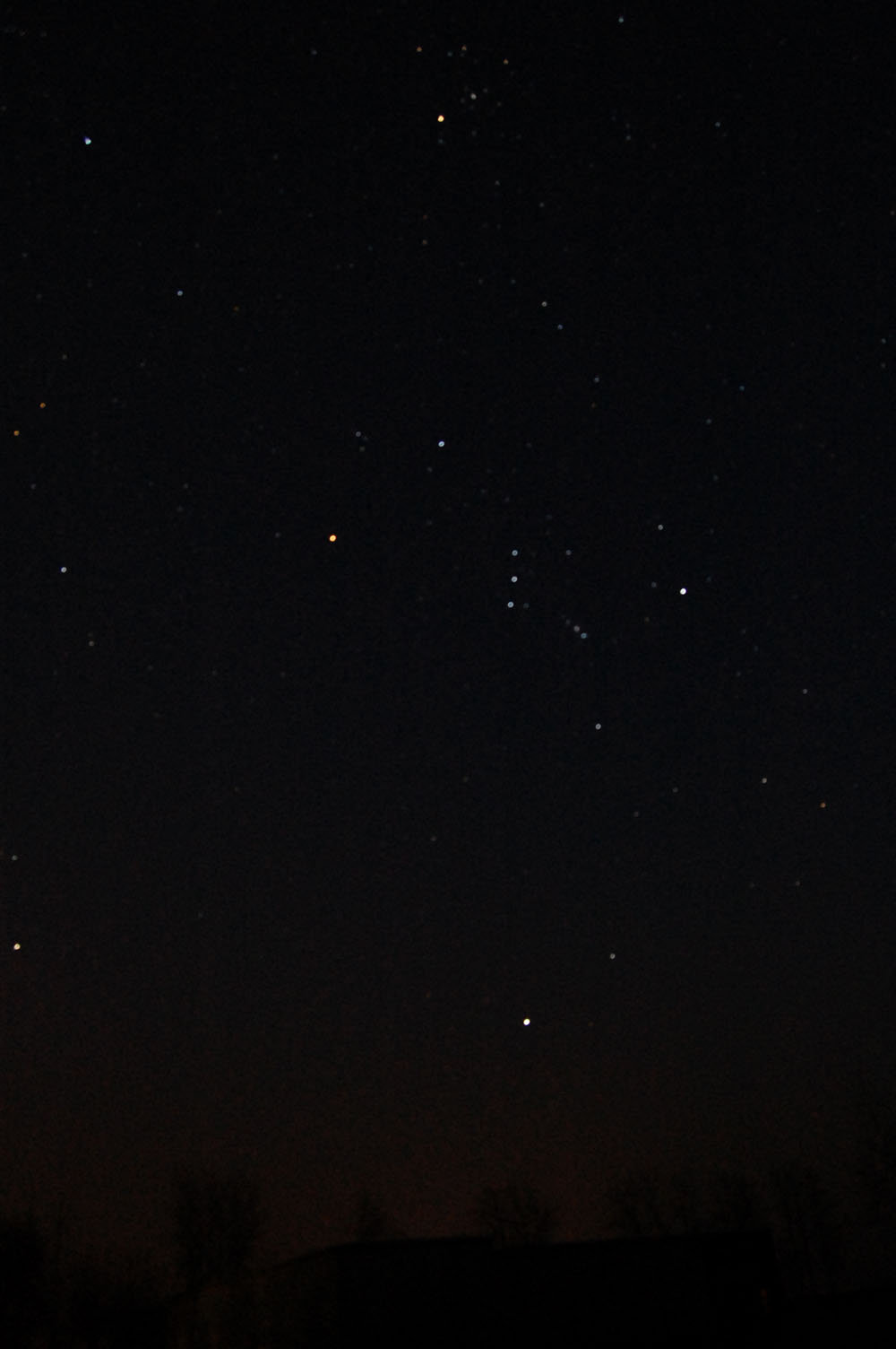 DSC_2426.jpg