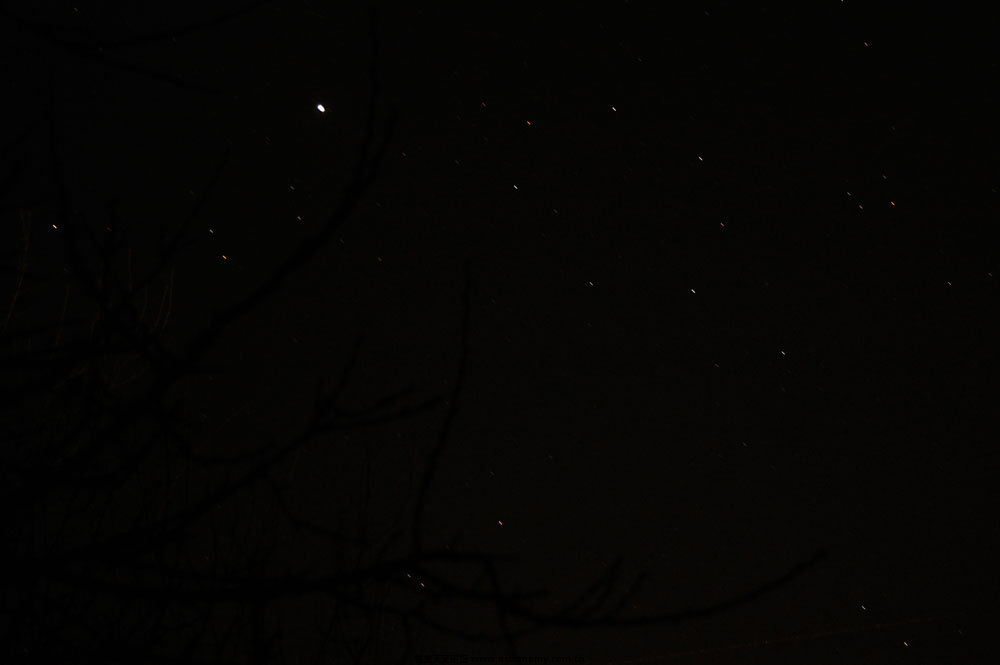 DSC_2435.jpg