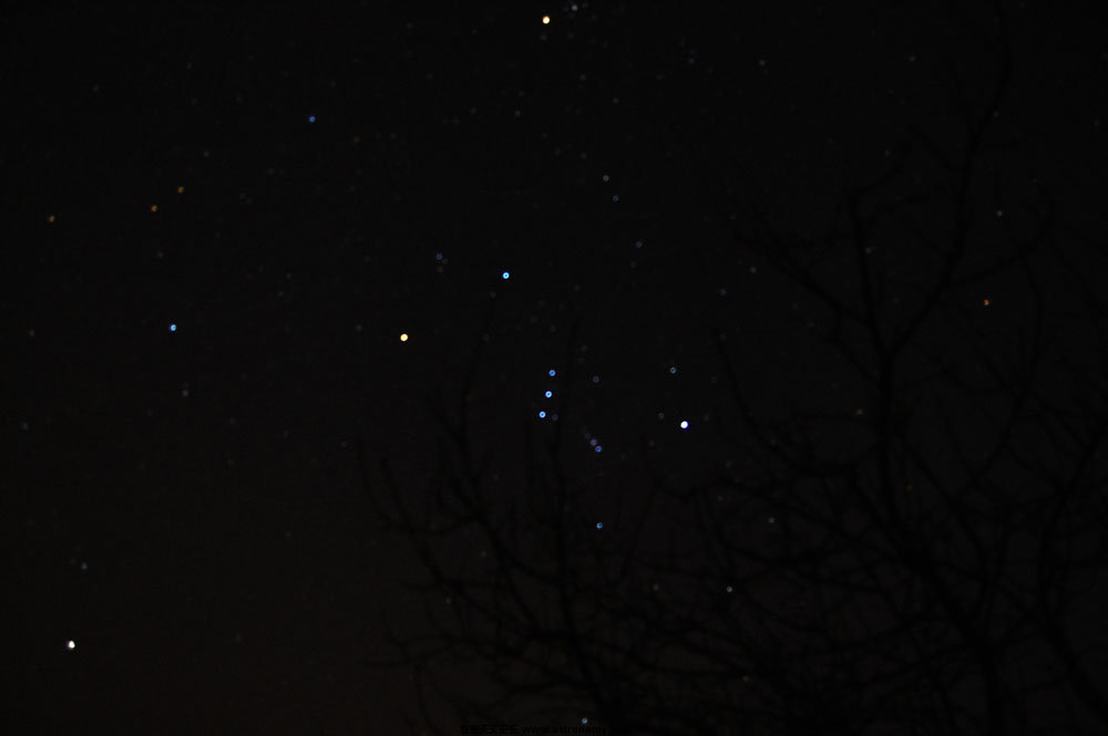 DSC_2433.jpg