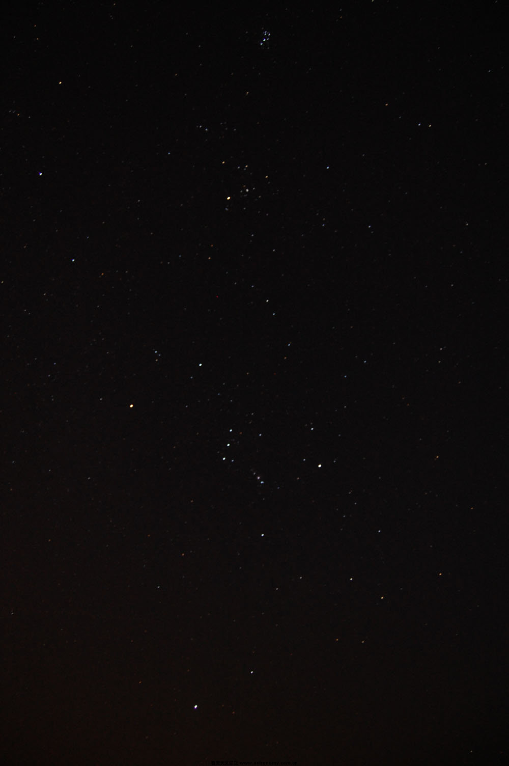 DSC_2428.jpg