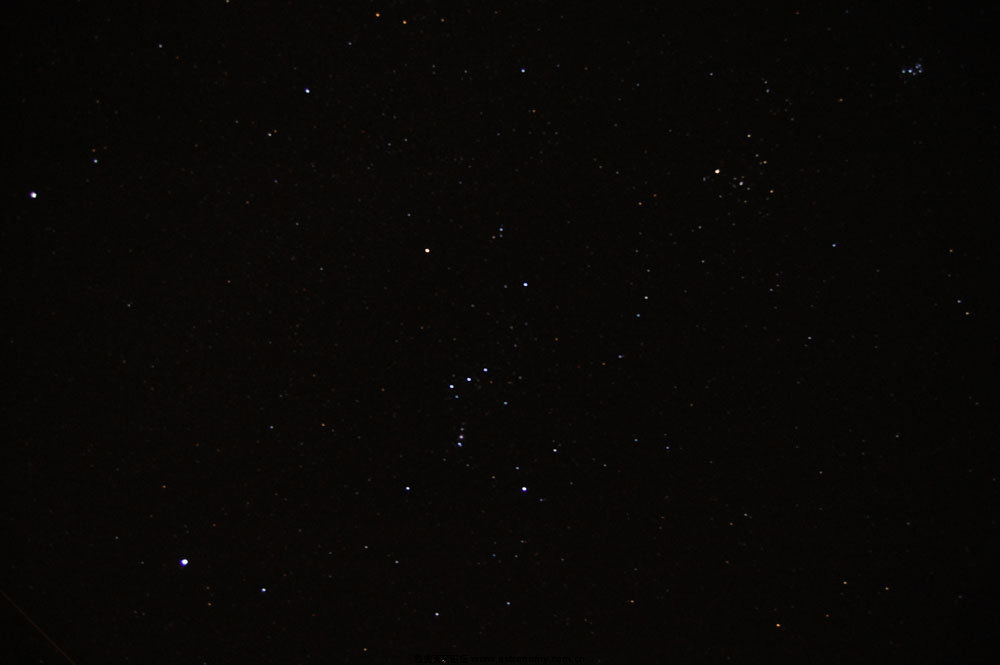 DSC_2439.jpg