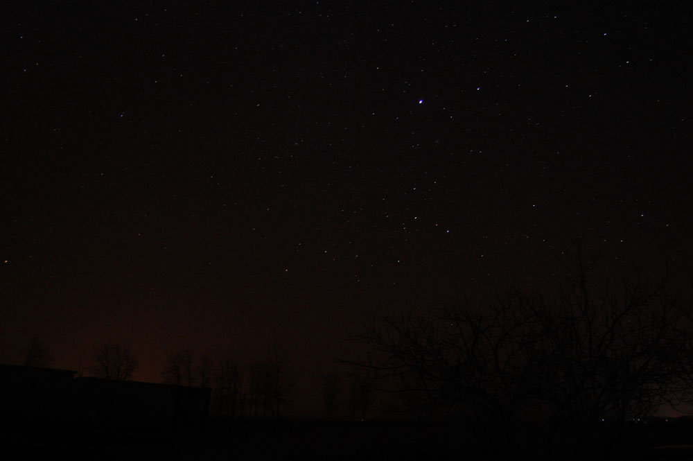 DSC_2442.jpg