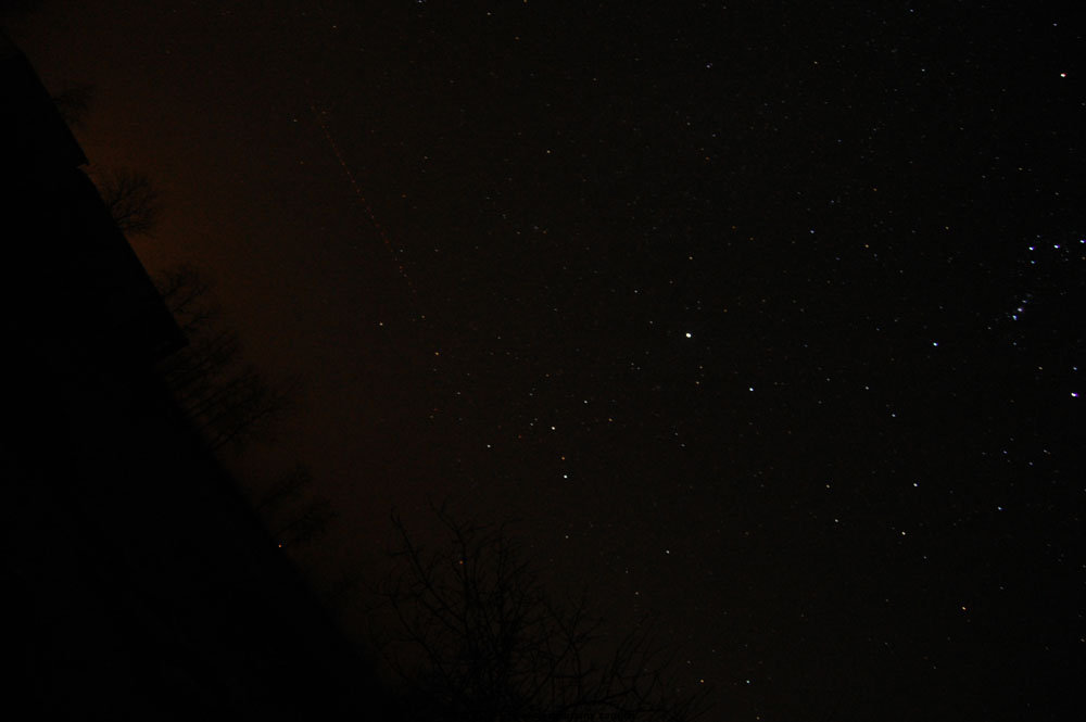 DSC_2440.jpg