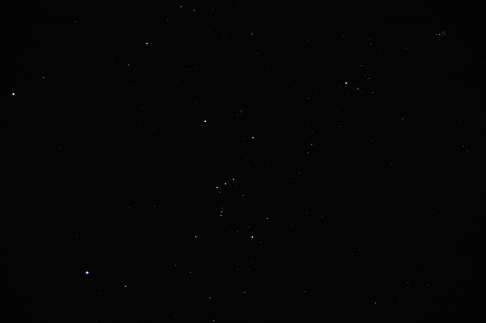 DSC_2438.jpg