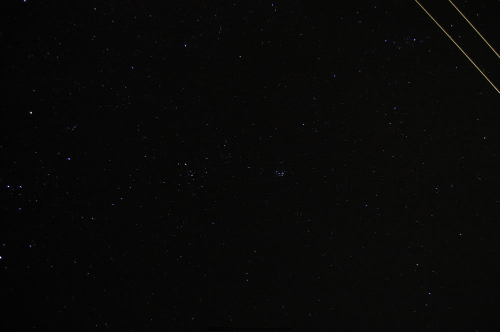 DSC_2441.jpg