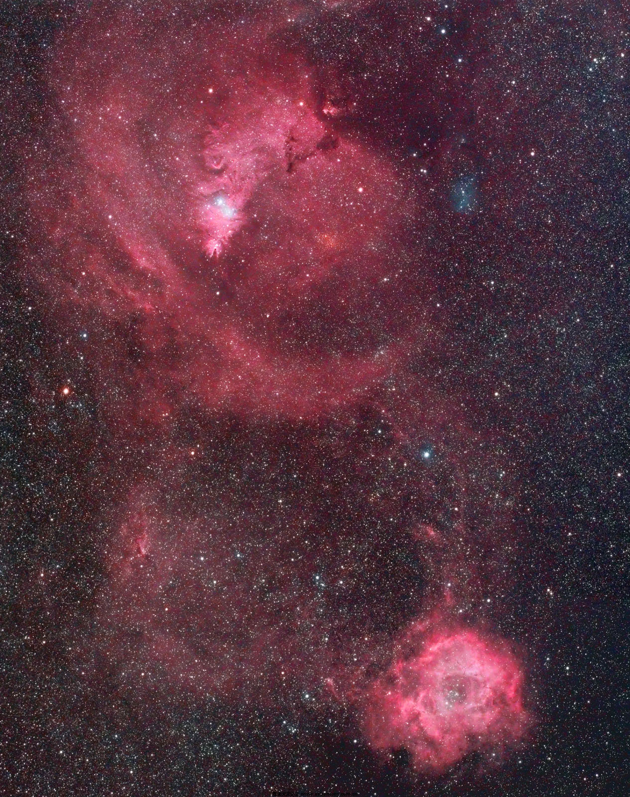 R&C_Color_Medium-3.jpg