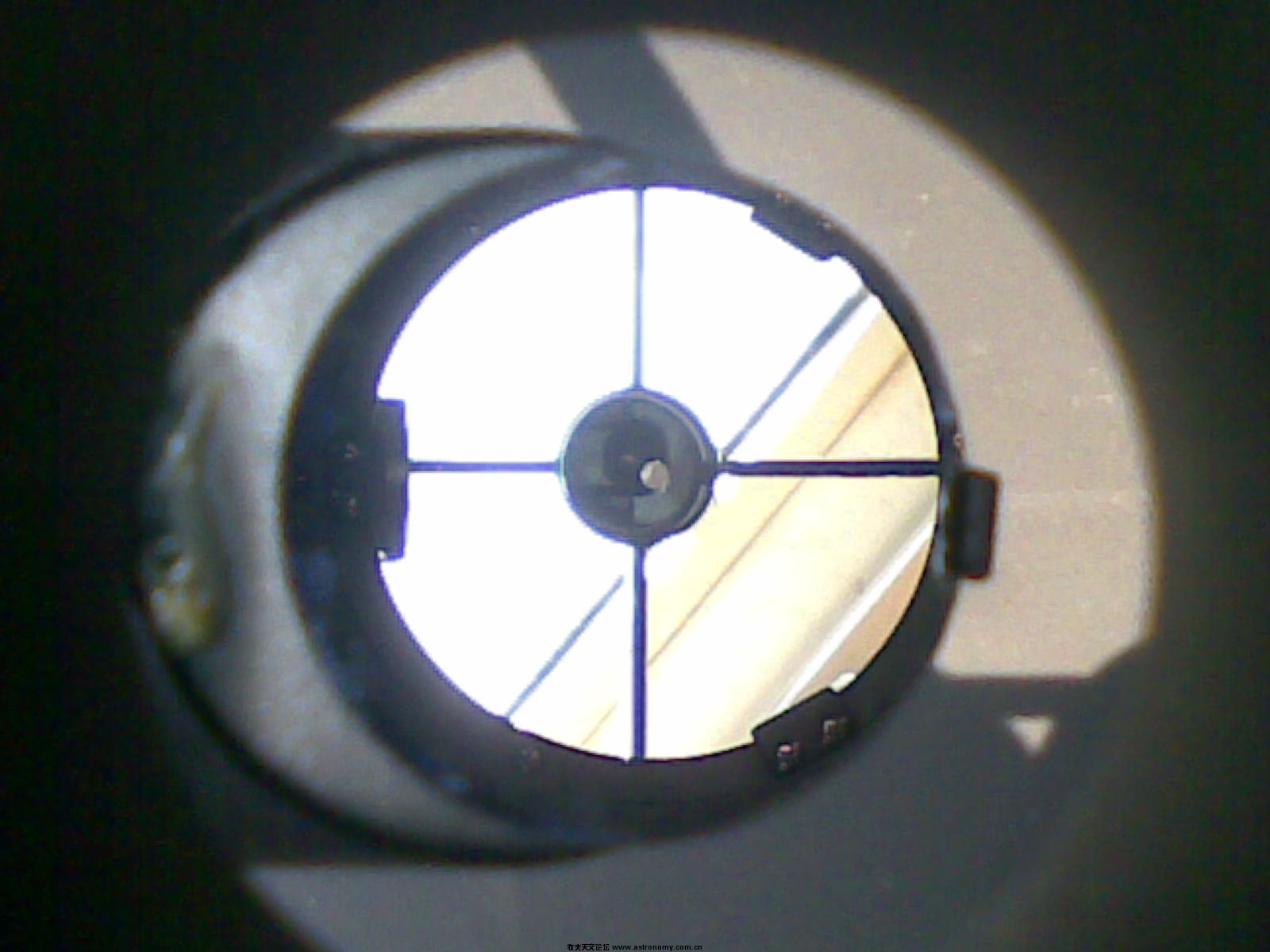 20110202(002).jpg