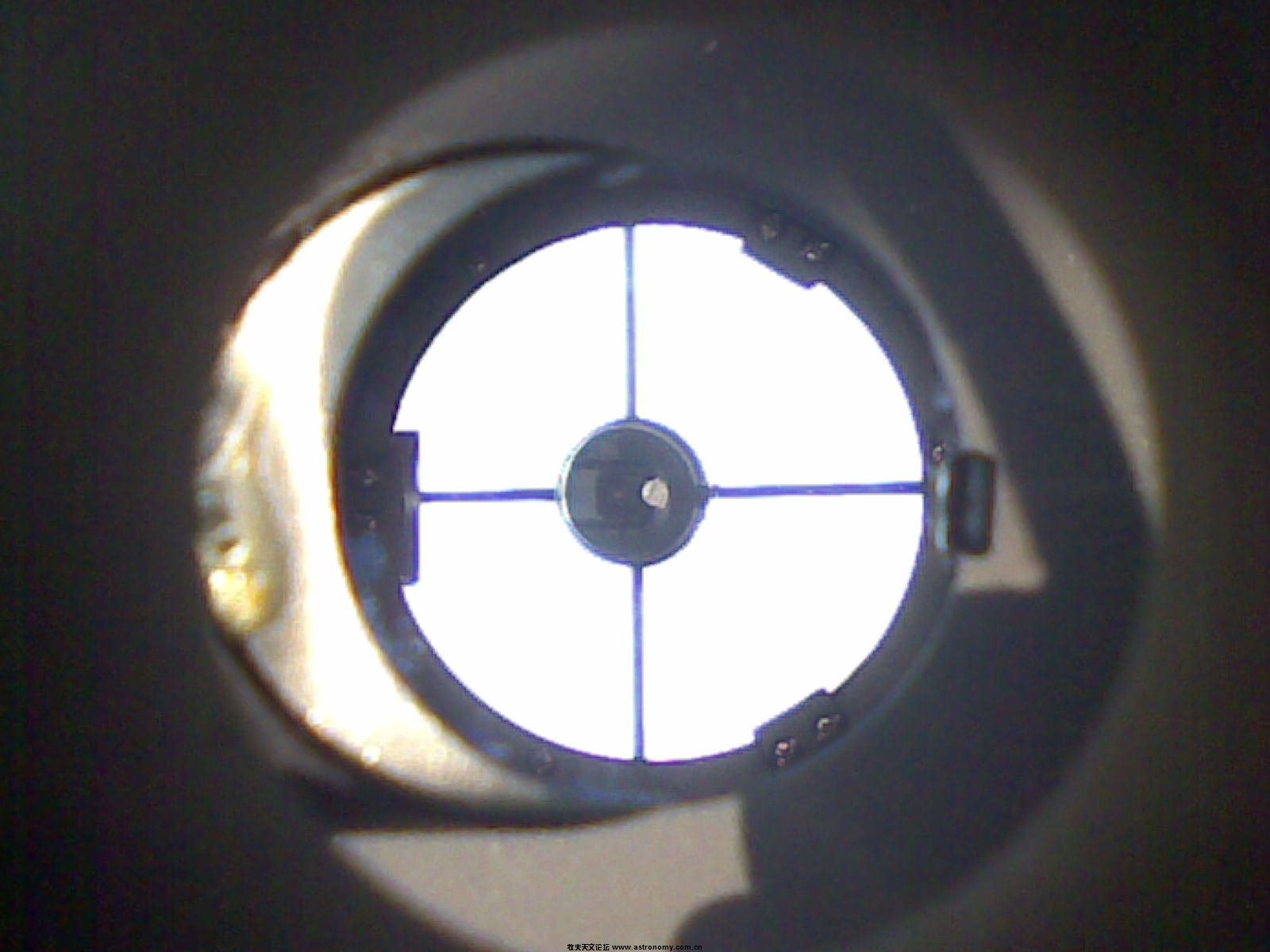 20110202(008).jpg