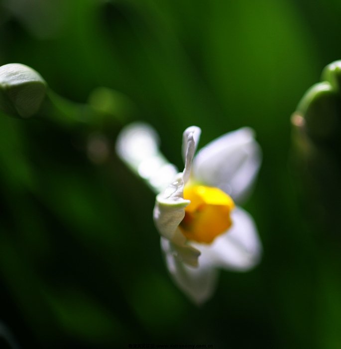 照片 032.jpg