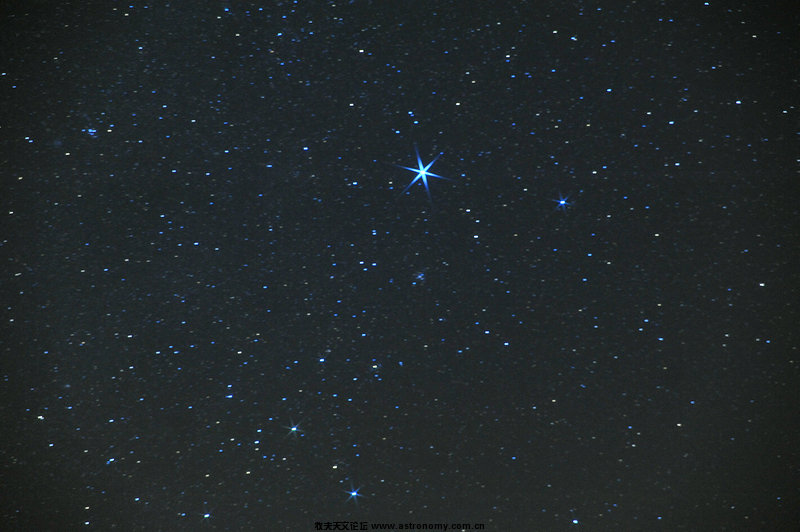 DSC_004_1.jpg