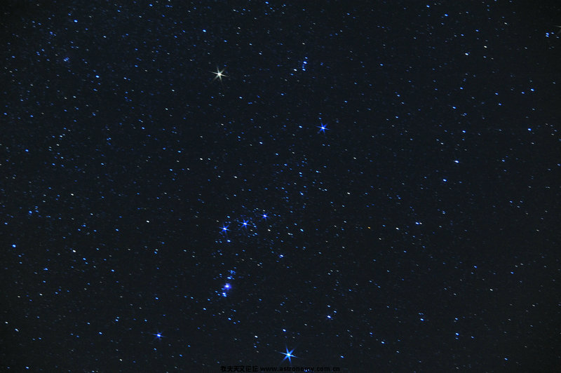 DSC_003_1.jpg