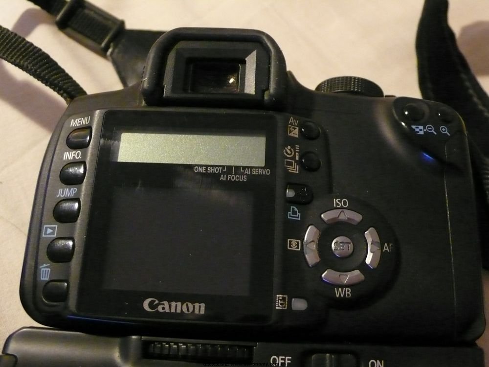 P1140831.jpg