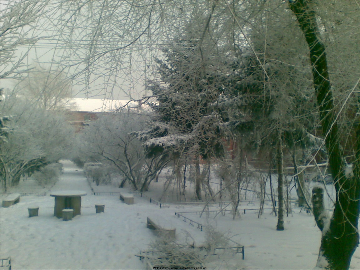 20101220(006).jpg