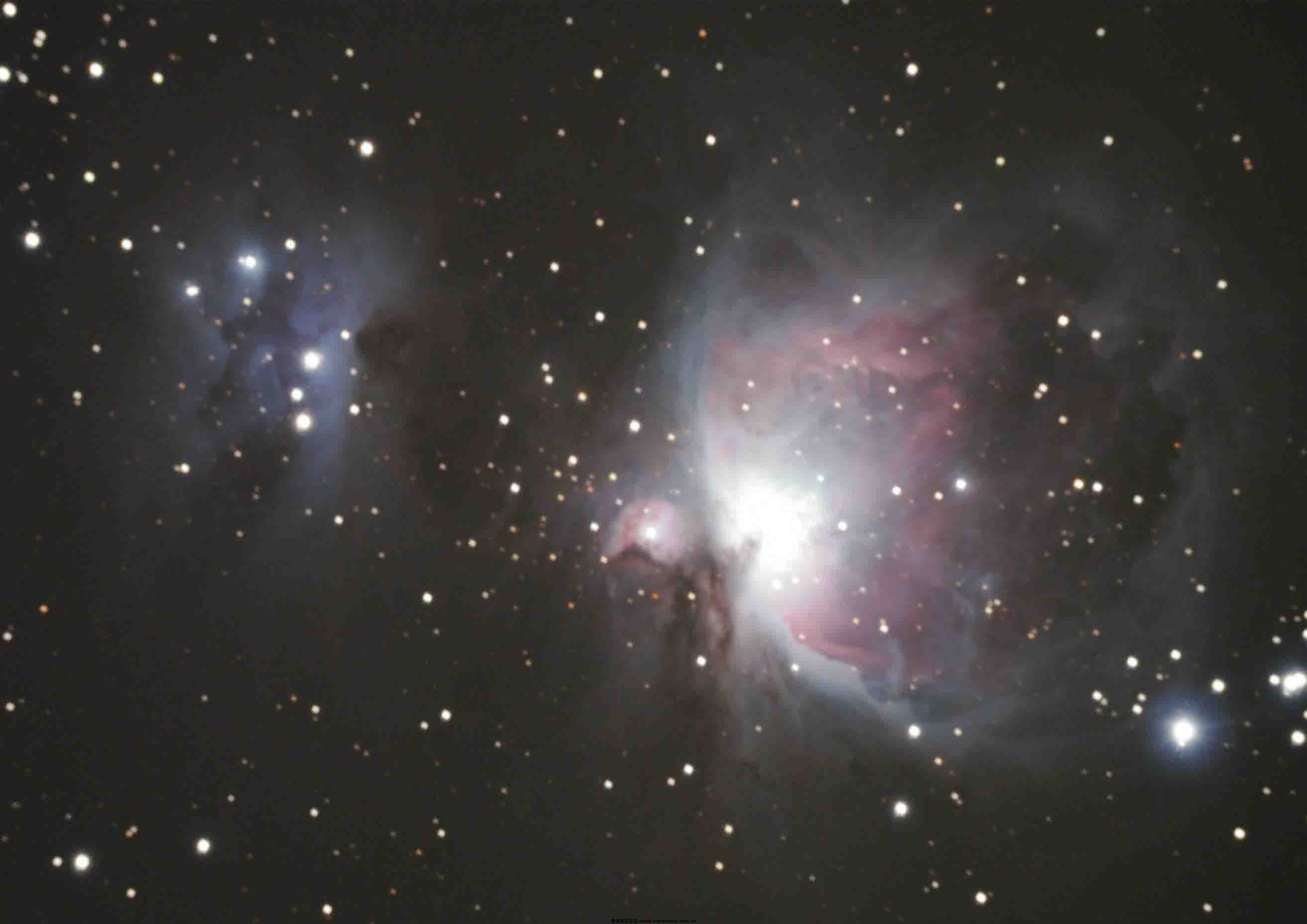 M42彩色.jpg
