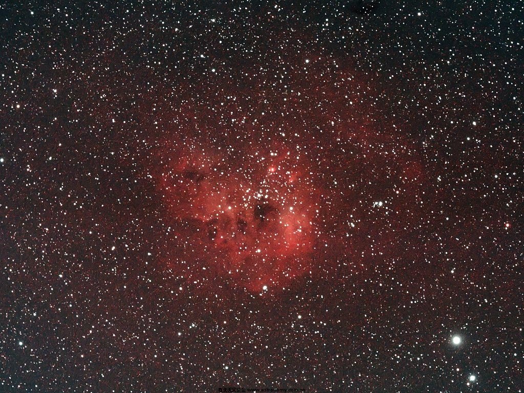 IC410蝌蚪星云.jpg