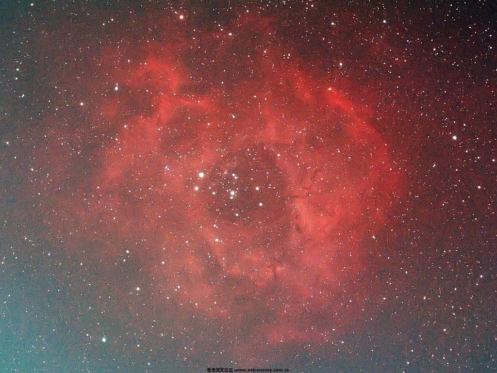 NGC2244玫瑰星云.jpg