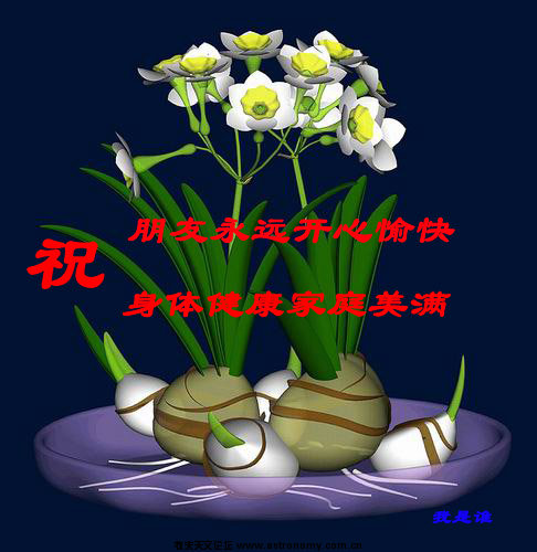 祝愿.jpg