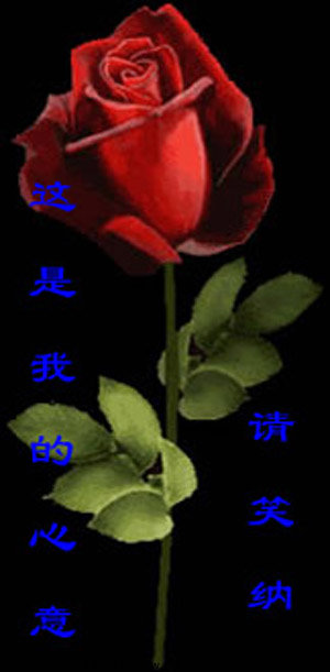 A34 拷贝.jpg