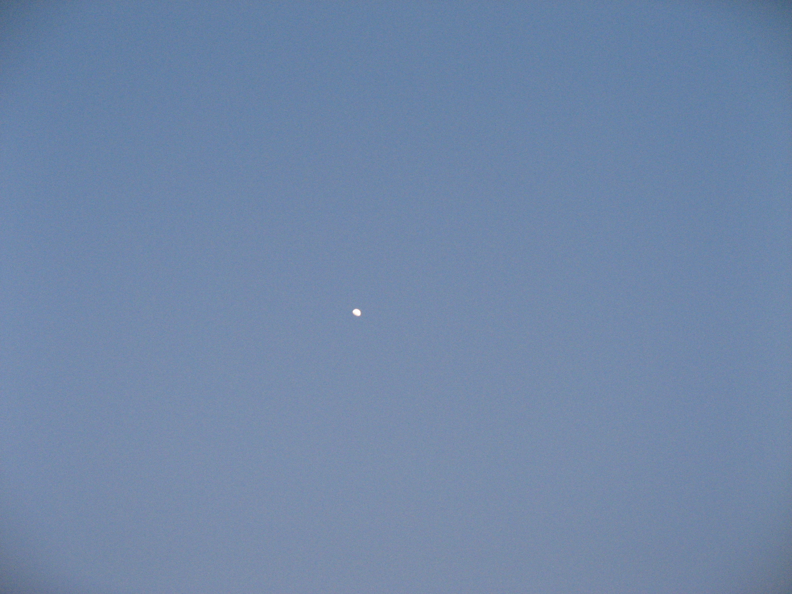 照片 212.jpg