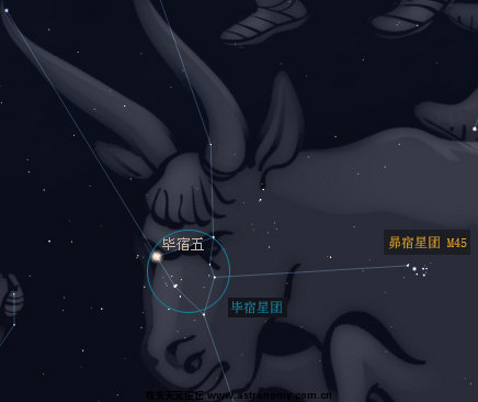 毕宿星团牛头图.jpg