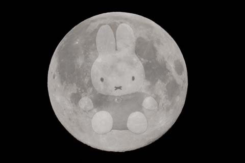 moon_miffy_b.jpg