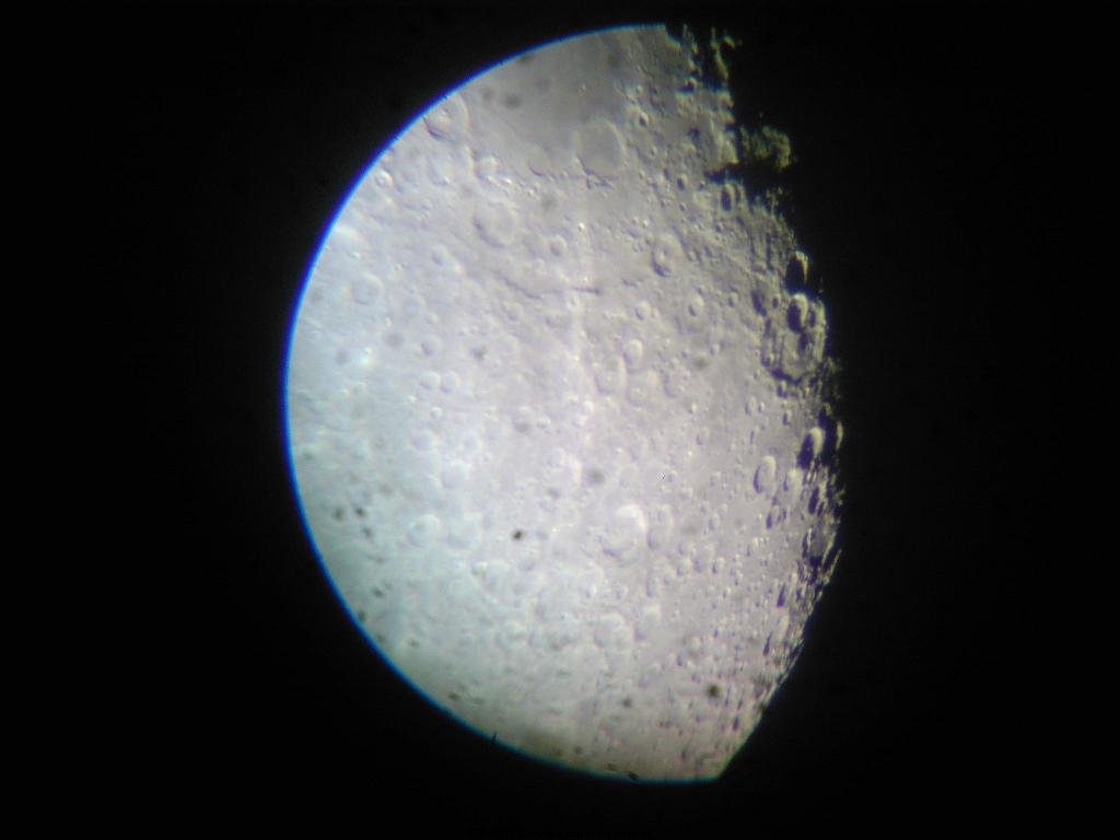 照片-0036.JPG