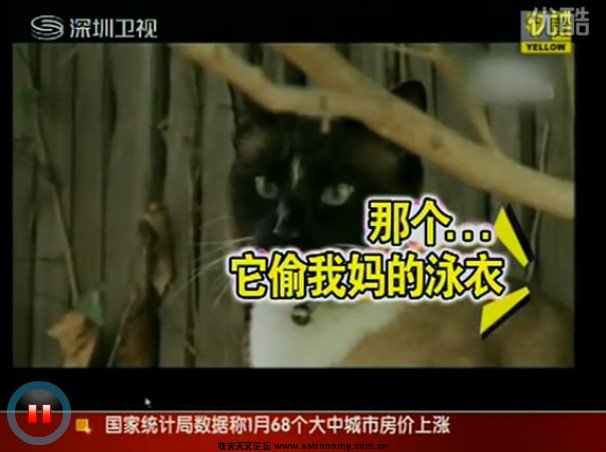 加州大贼猫 3年偷600样东西.jpg