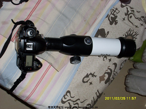 SL381474.JPG