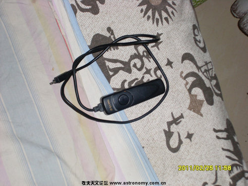 SL381475.JPG