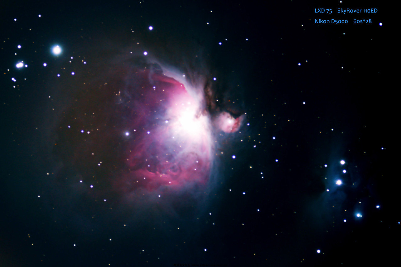 M41-02-Net.jpg