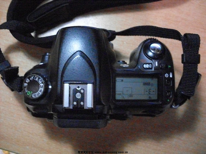 SDC10052.jpg