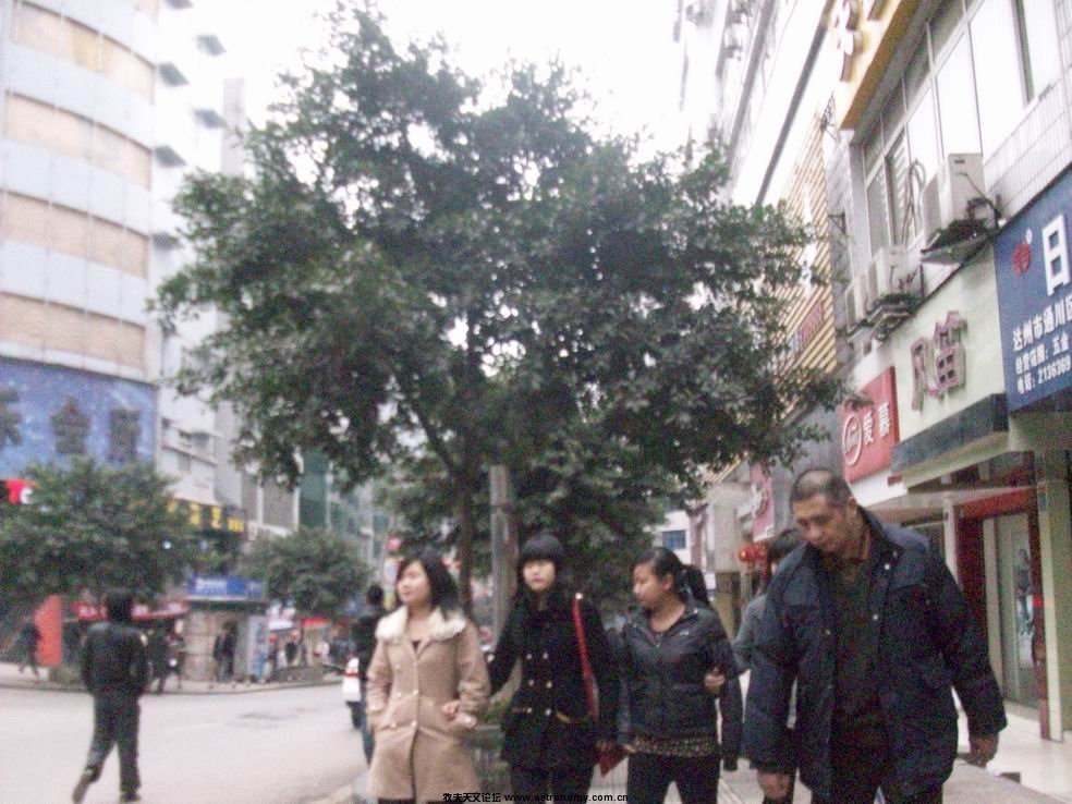 100_4419.JPG