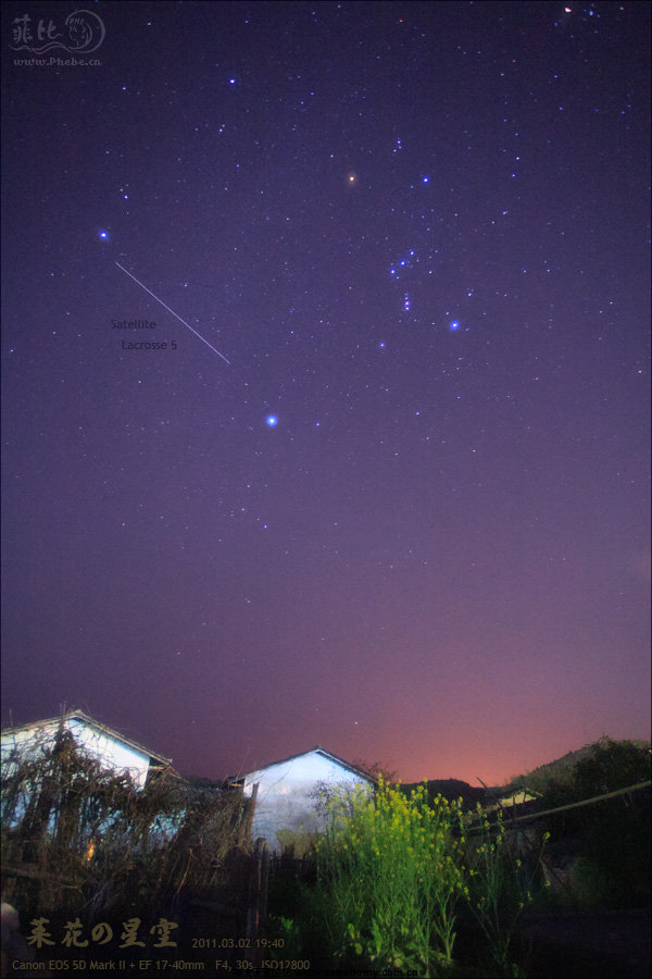 菜花星空2.jpg