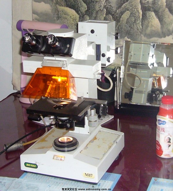 P1100984.JPG