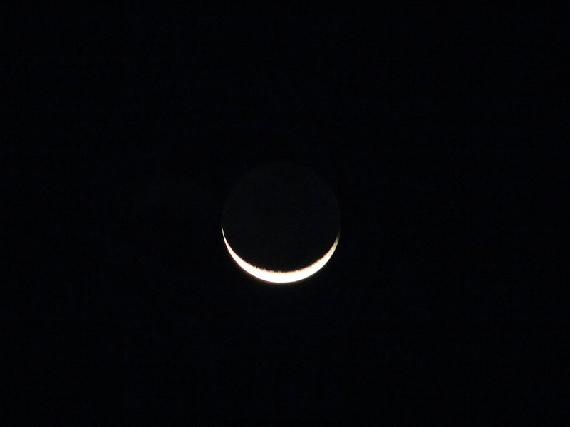 DSC03514b.jpg