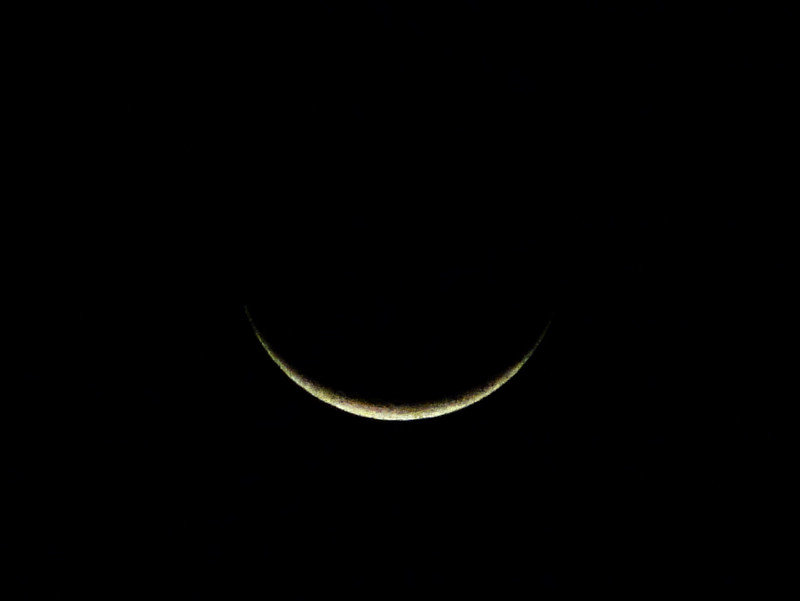 DSC03505b.jpg