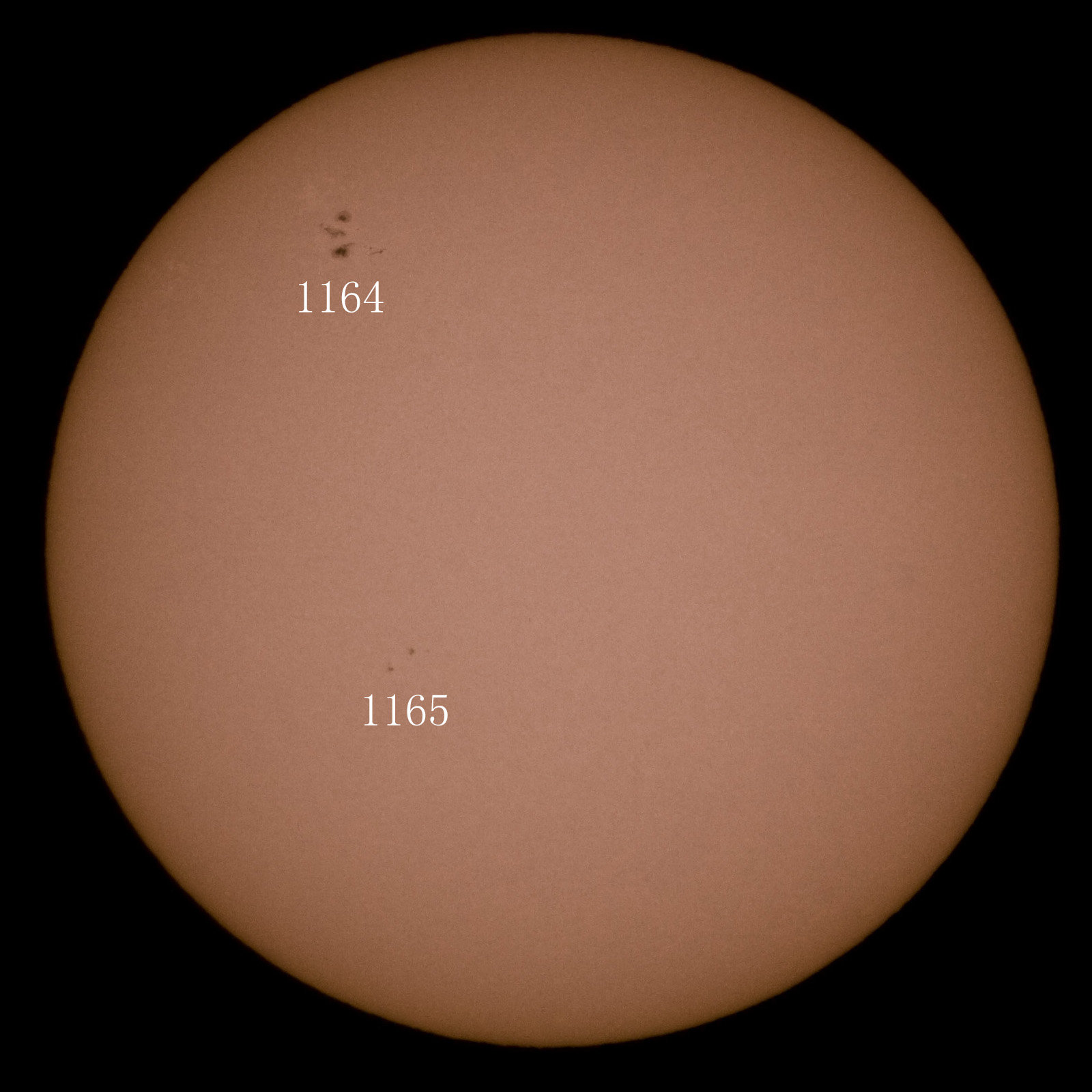 2011-03-01sunspot副本.jpg