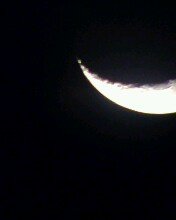 IMG0011A.jpg