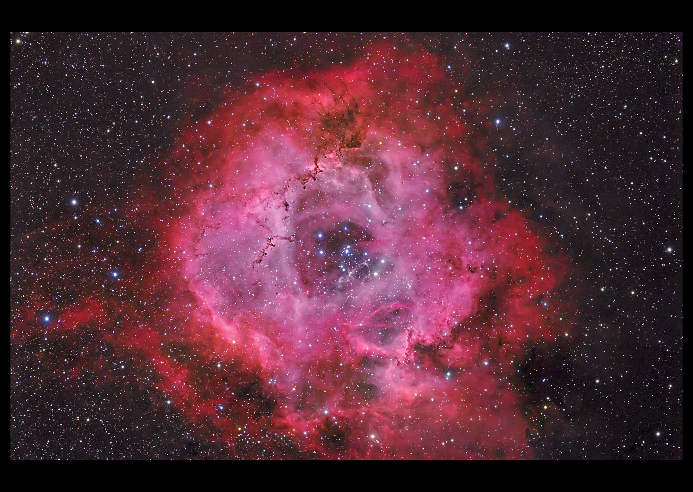 NGC 2244 rose70.jpg