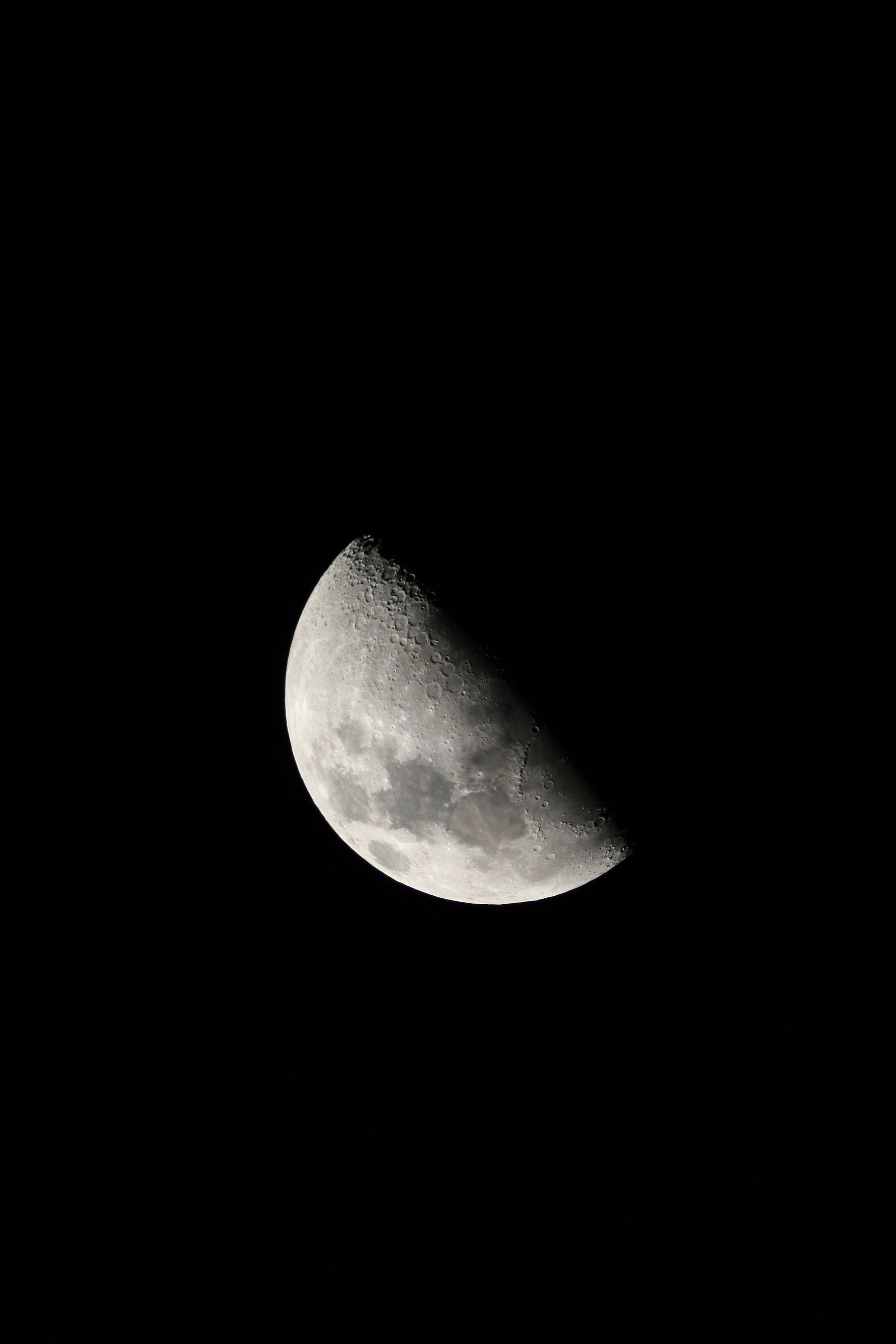 20110313 003a.jpg