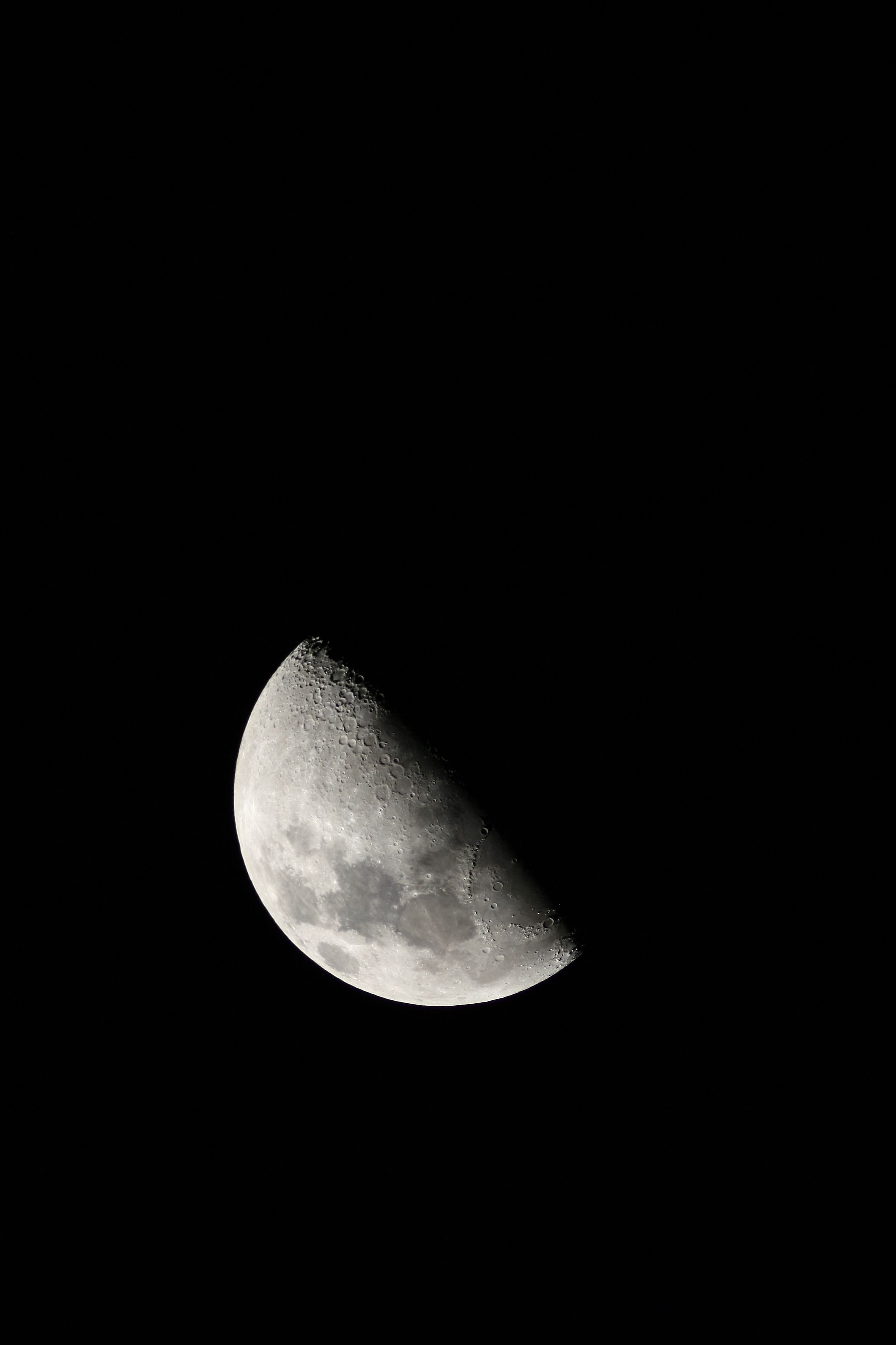 20110313 001a.jpg