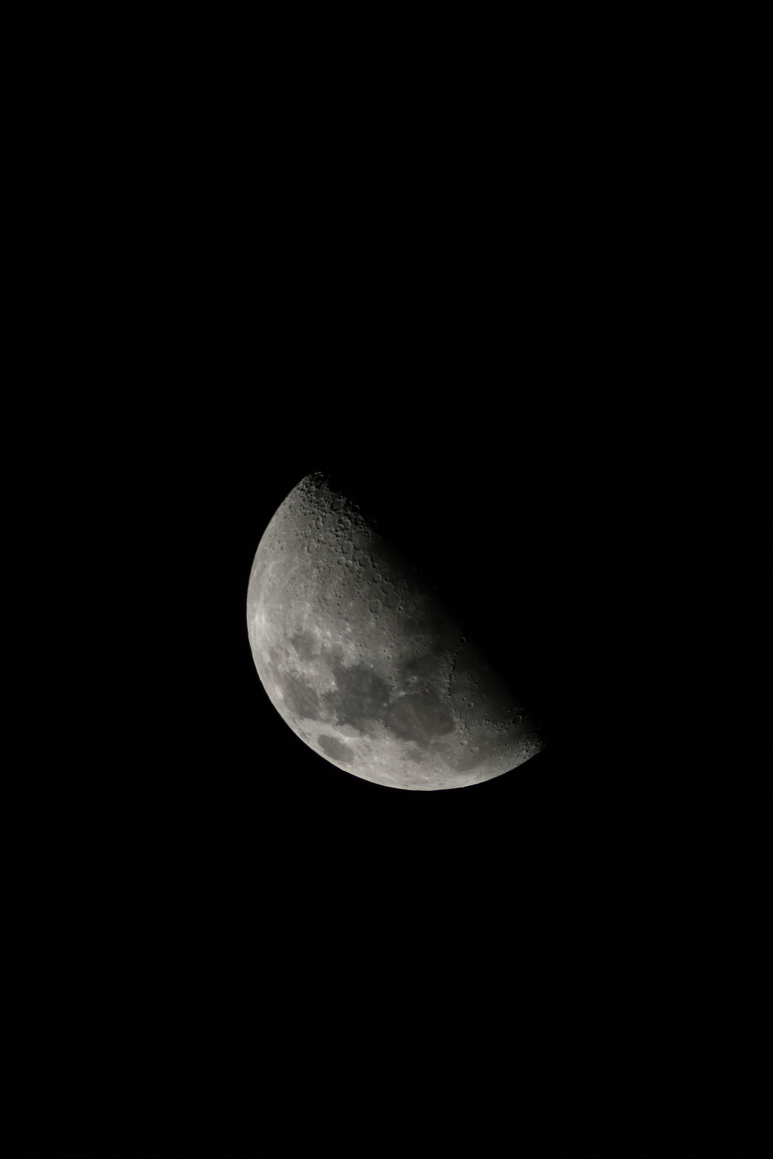 20110313 005a.jpg