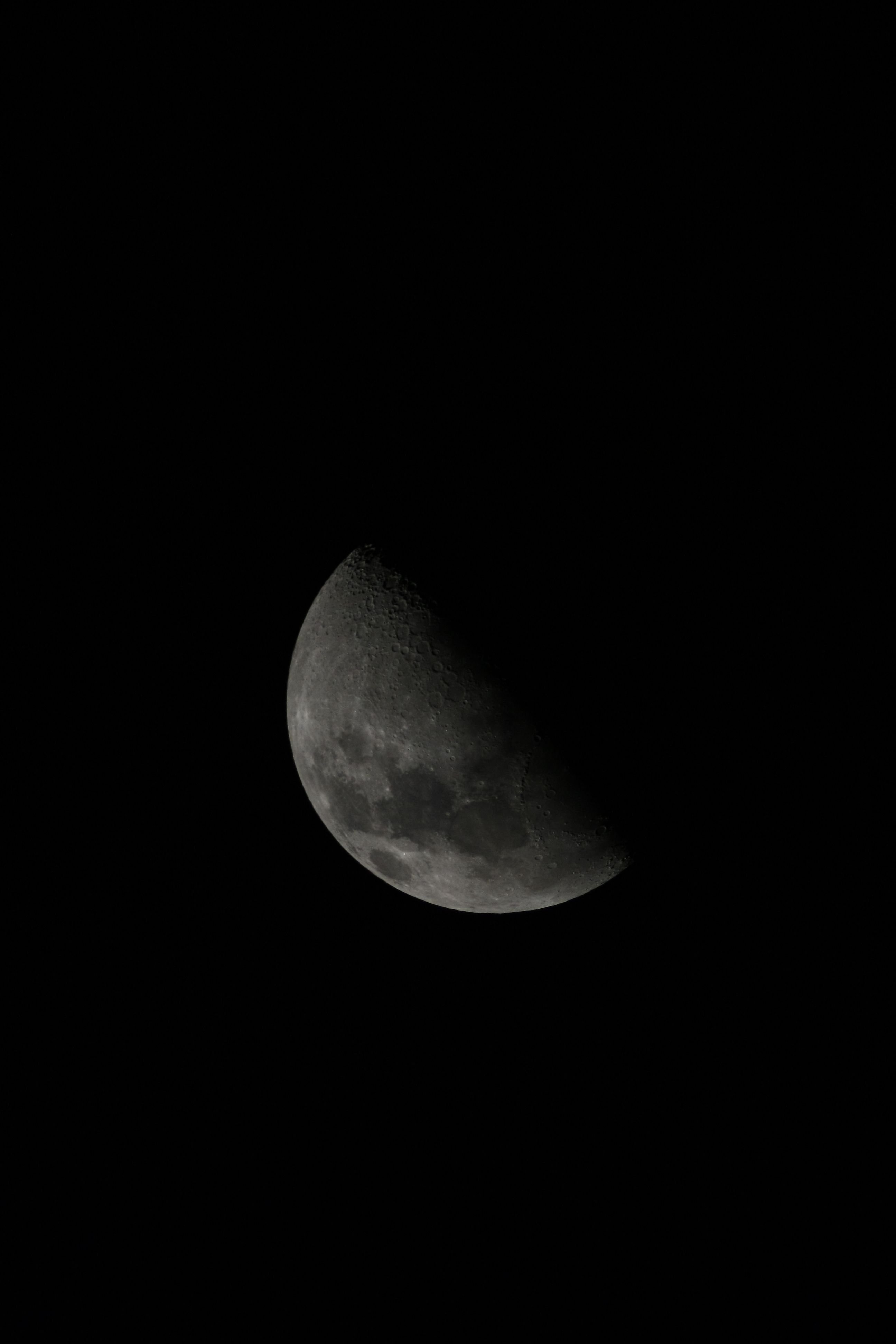 20110313 004a.jpg